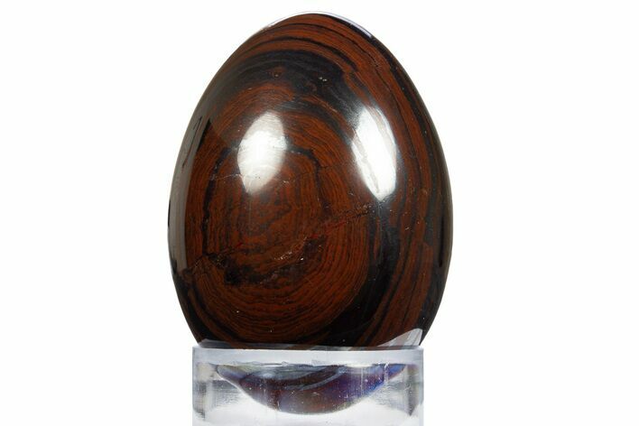 Polished Tiger Iron Egg - South Africa #312691